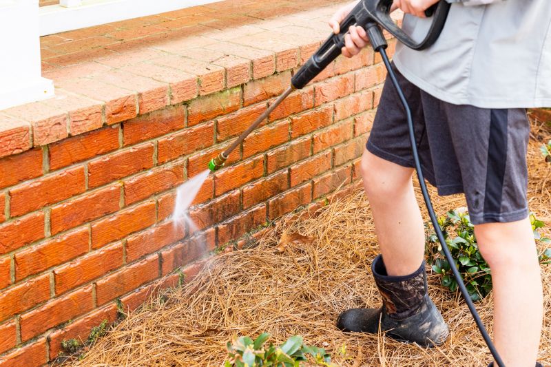 Brick Cleaning
