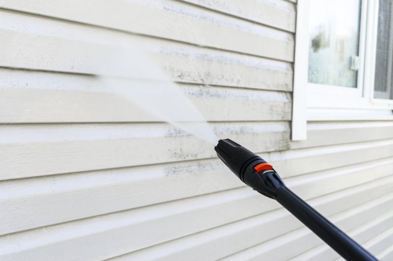 Removing Mold and Mildew