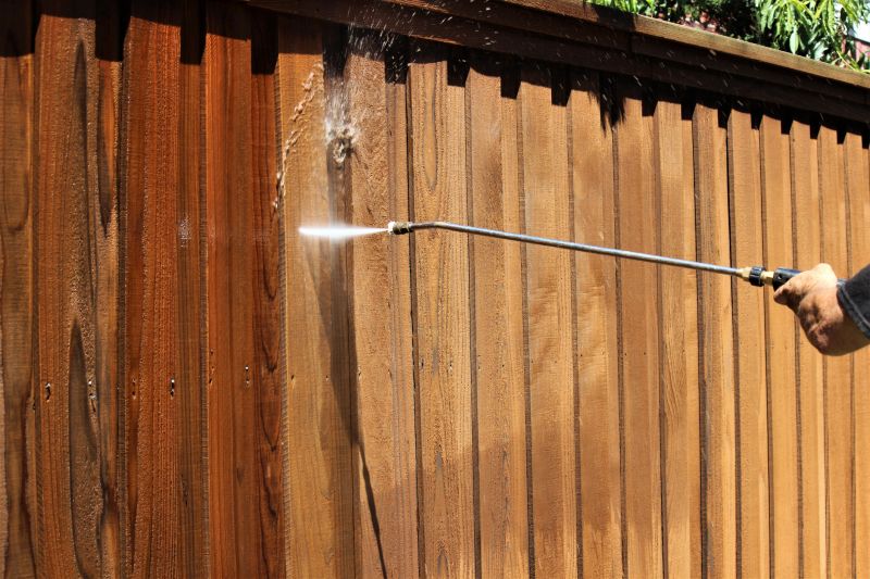 Deck and Fence Restoration